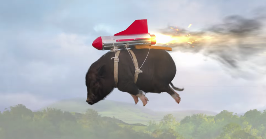 pigscanfly.png